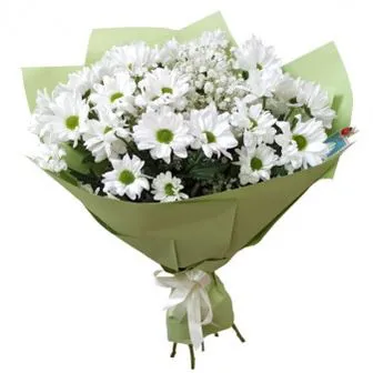 Волшебное утро