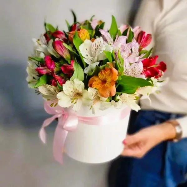 Шепот альстромерий