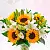 Подсолнухи