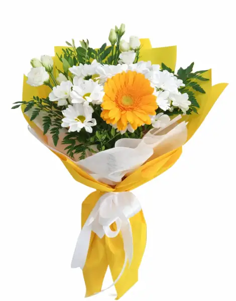 Солнечный привет