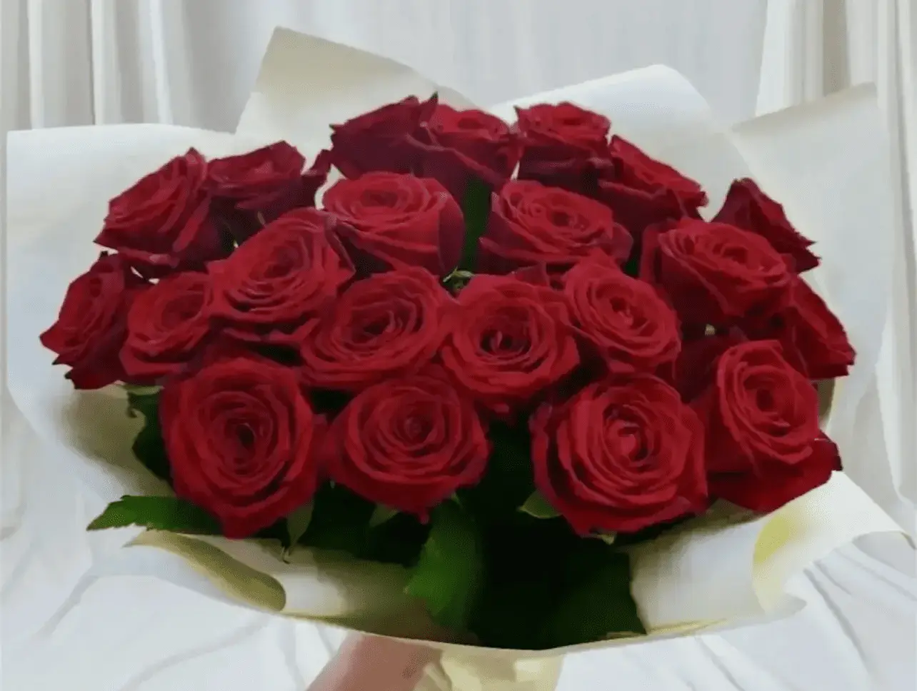 Букет из 21 красной розы в упаковке