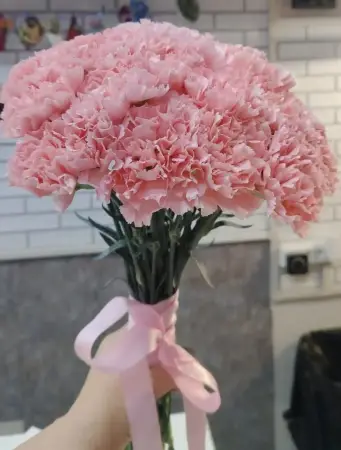Моно букет из розовых гвоздик